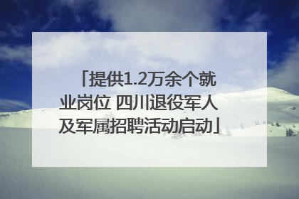 提供1.2万余个就业岗位 四川退役军人及军属招聘活动启动