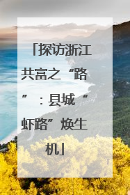 探访浙江共富之“路”：县城“虾路”焕生机