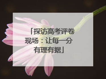 探访高考评卷现场：让每一分有理有据