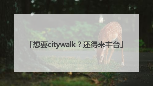 想要citywalk？还得来丰台