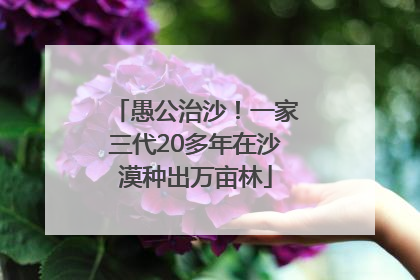 愚公治沙！一家三代20多年在沙漠种出万亩林