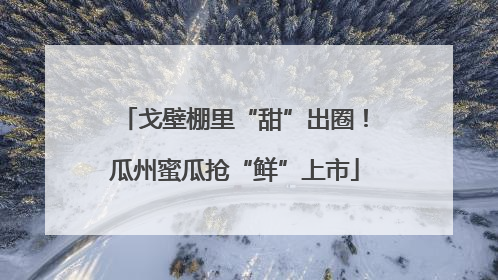 戈壁棚里“甜”出圈！瓜州蜜瓜抢“鲜”上市