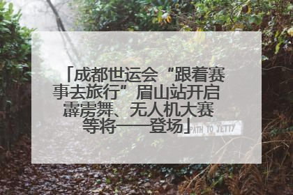 成都世运会“跟着赛事去旅行”眉山站开启 霹雳舞、无人机大赛等将一一登场