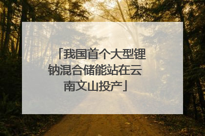 我国首个大型锂钠混合储能站在云南文山投产