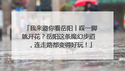 我来邀你看岳阳丨踩一脚就开花？岳阳这条魔幻步道，连走路都变得好玩！