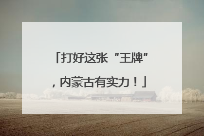 打好这张“王牌”，内蒙古有实力！