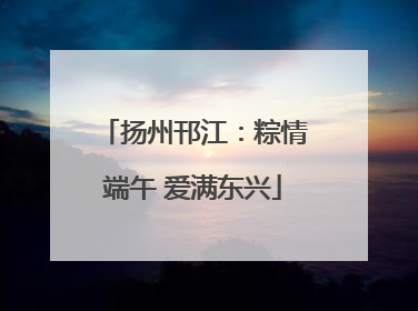 扬州邗江：粽情端午 爱满东兴