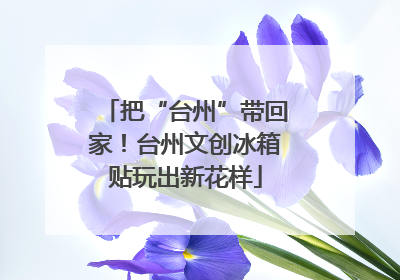 把“台州”带回家！台州文创冰箱贴玩出新花样