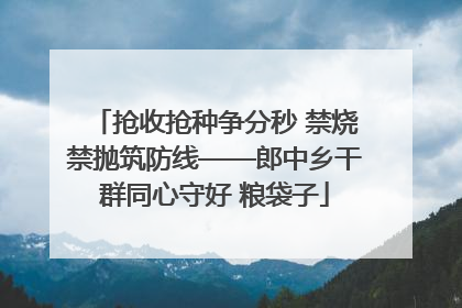 抢收抢种争分秒 禁烧禁抛筑防线——郎中乡干群同心守好 粮袋子