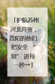 护航苏州河龙舟赛，普陀的他们把安全 “划” 进每一秒→