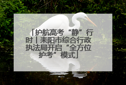 护航高考“静”行时丨耒阳市综合行政执法局开启“全方位护考”模式