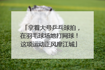 拿着大号乒乓球拍，在羽毛球场地打网球！这项运动正风靡江城