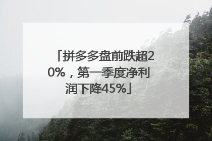 拼多多盘前跌超20%，第一季度净利润下降45%