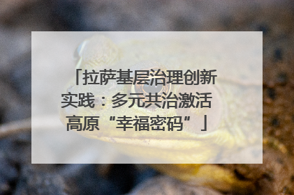 拉萨基层治理创新实践：多元共治激活高原“幸福密码”