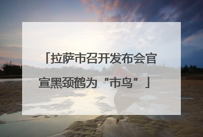 拉萨市召开发布会官宣黑颈鹤为“市鸟”