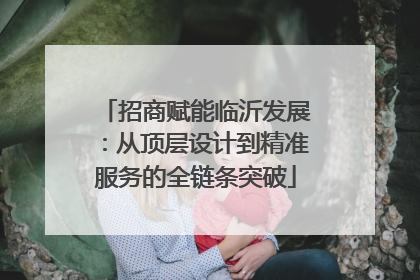 招商赋能临沂发展：从顶层设计到精准服务的全链条突破