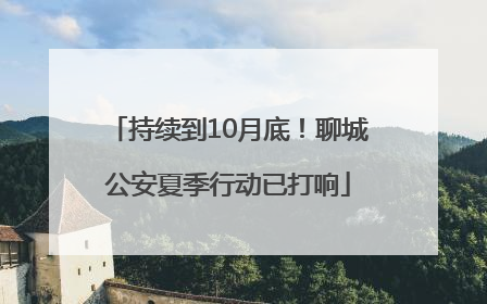 持续到10月底！聊城公安夏季行动已打响