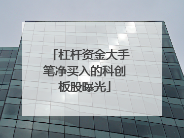 杠杆资金大手笔净买入的科创板股曝光