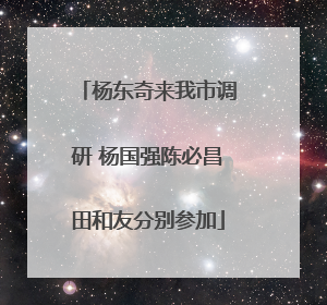 杨东奇来我市调研 杨国强陈必昌田和友分别参加