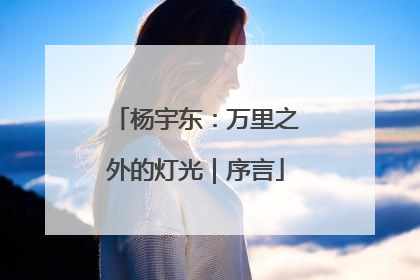 杨宇东：万里之外的灯光｜序言