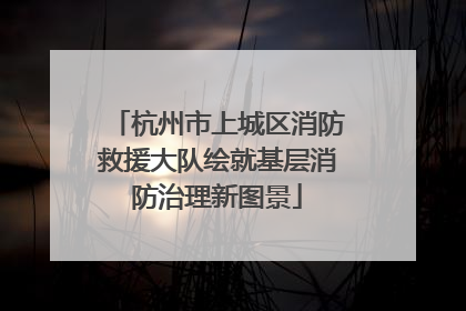 杭州市上城区消防救援大队绘就基层消防治理新图景