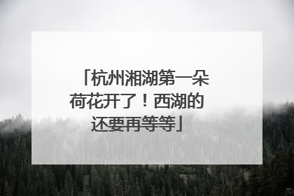 杭州湘湖第一朵荷花开了！西湖的还要再等等