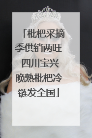 枇杷采摘季供销两旺 四川宝兴晚熟枇杷冷链发全国