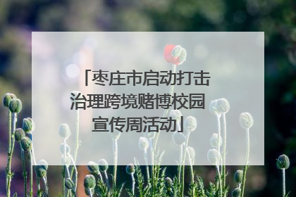枣庄市启动打击治理跨境赌博校园宣传周活动