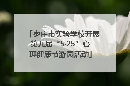 枣庄市实验学校开展第九届“5·25”心理健康节游园活动