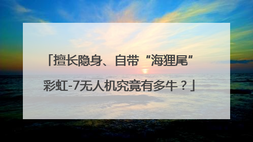 擅长隐身、自带“海狸尾” 彩虹-7无人机究竟有多牛？