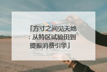 方寸之间见天地：从特区试验田到提振消费引擎