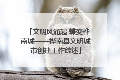 文明风涌起 蝶变桦南城——桦南县文明城市创建工作综述