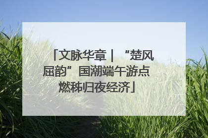 文脉华章｜“楚风屈韵”国潮端午游点燃秭归夜经济