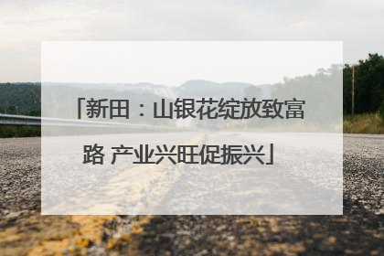 新田：山银花绽放致富路 产业兴旺促振兴