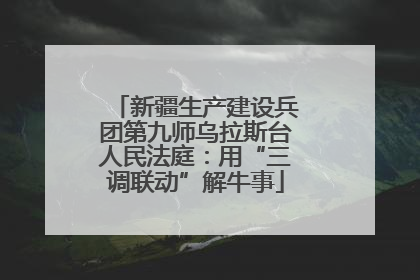 新疆生产建设兵团第九师乌拉斯台人民法庭：用“三调联动”解牛事