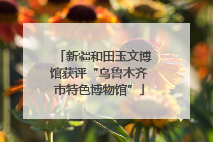 新疆和田玉文博馆获评“乌鲁木齐市特色博物馆”