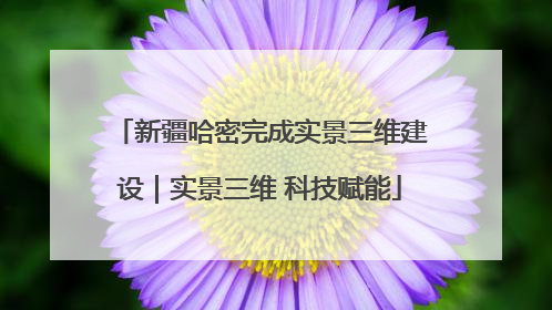 新疆哈密完成实景三维建设｜实景三维 科技赋能