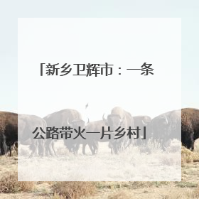 新乡卫辉市：一条公路带火一片乡村
