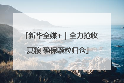 新华全媒+｜全力抢收夏粮 确保颗粒归仓