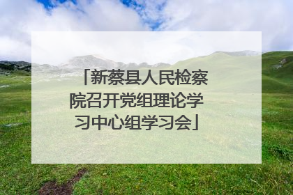 新蔡县人民检察院召开党组理论学习中心组学习会