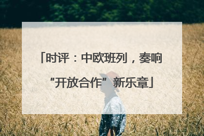 时评：中欧班列，奏响“开放合作”新乐章