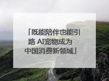 既能陪伴也能引路 AI宠物成为中国消费新领域