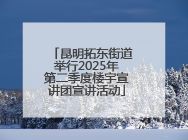 昆明拓东街道举行2025年第二季度楼宇宣讲团宣讲活动