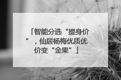 智能分选“提身价”，仙居杨梅优质优价变“金果”