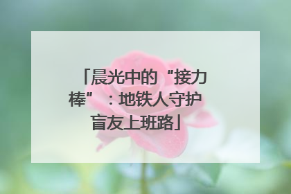 晨光中的“接力棒”：地铁人守护盲友上班路