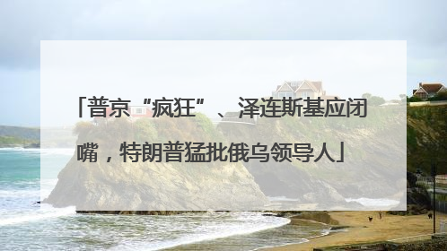 普京“疯狂”、泽连斯基应闭嘴，特朗普猛批俄乌领导人