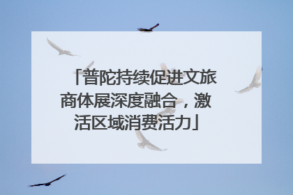 普陀持续促进文旅商体展深度融合，激活区域消费活力
