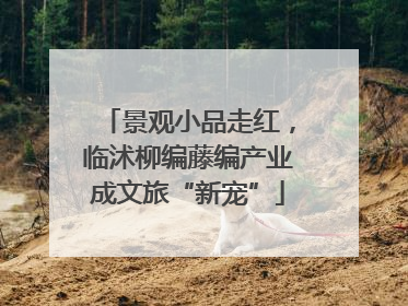 景观小品走红，临沭柳编藤编产业成文旅“新宠”