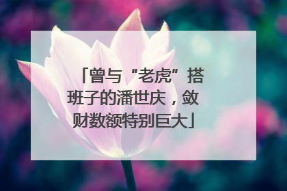 曾与“老虎”搭班子的潘世庆，敛财数额特别巨大