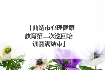 曲靖市心理健康教育第二次巡回培训圆满结束